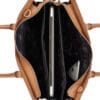 Burkely Parisian Paige Workbag 14" Light Cognac
