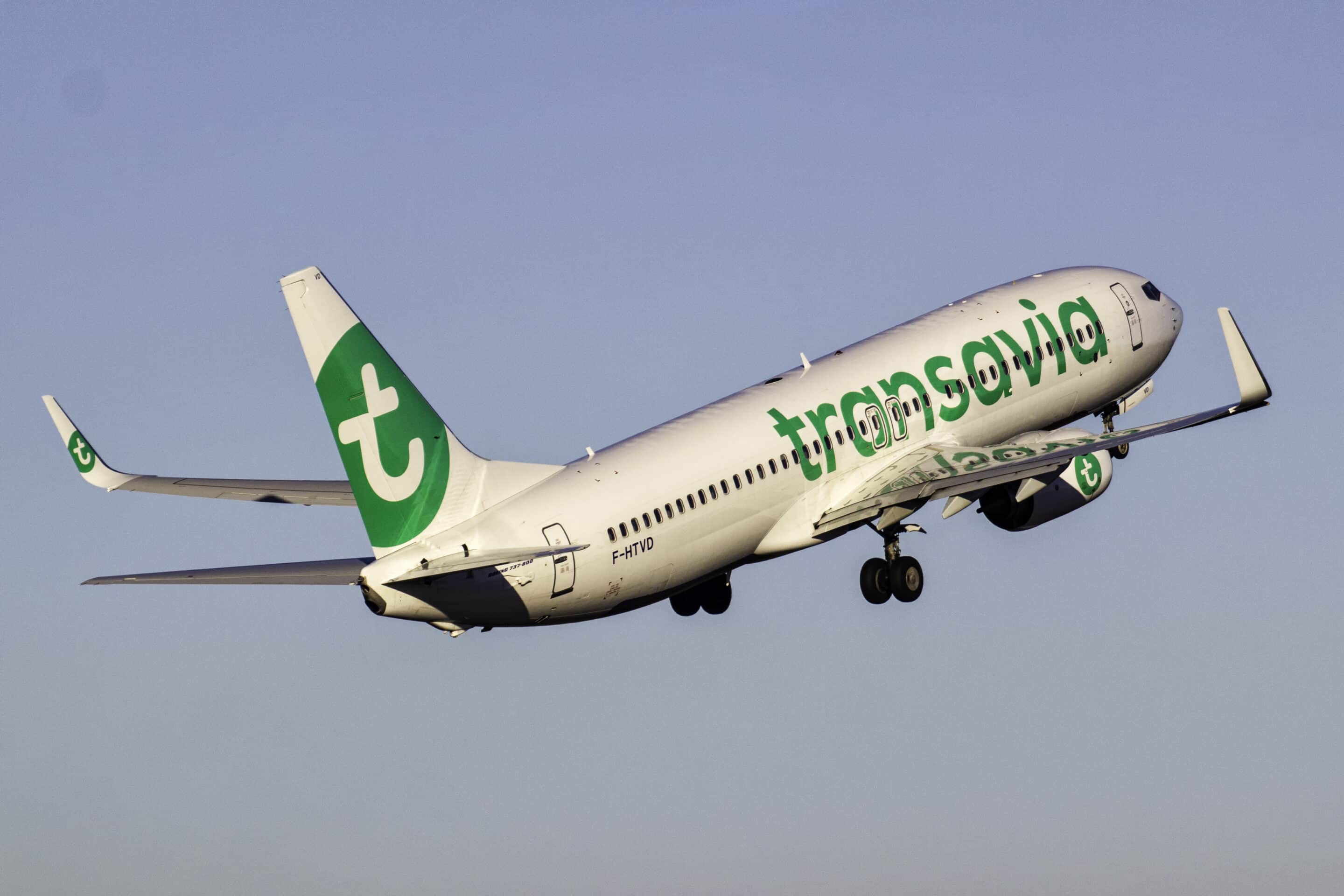 bovenstaand Expertise Met pensioen gaan Transavia handbagage: alle regels op een rij - THEBAGSTORE.nl